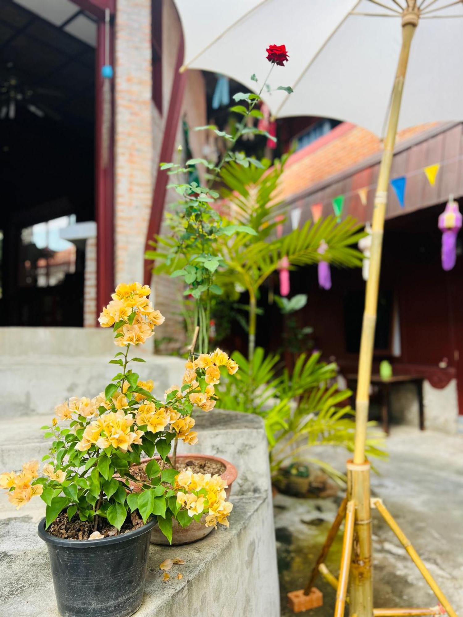Appartement Boutique House Nipha à Chiang Mai Extérieur photo