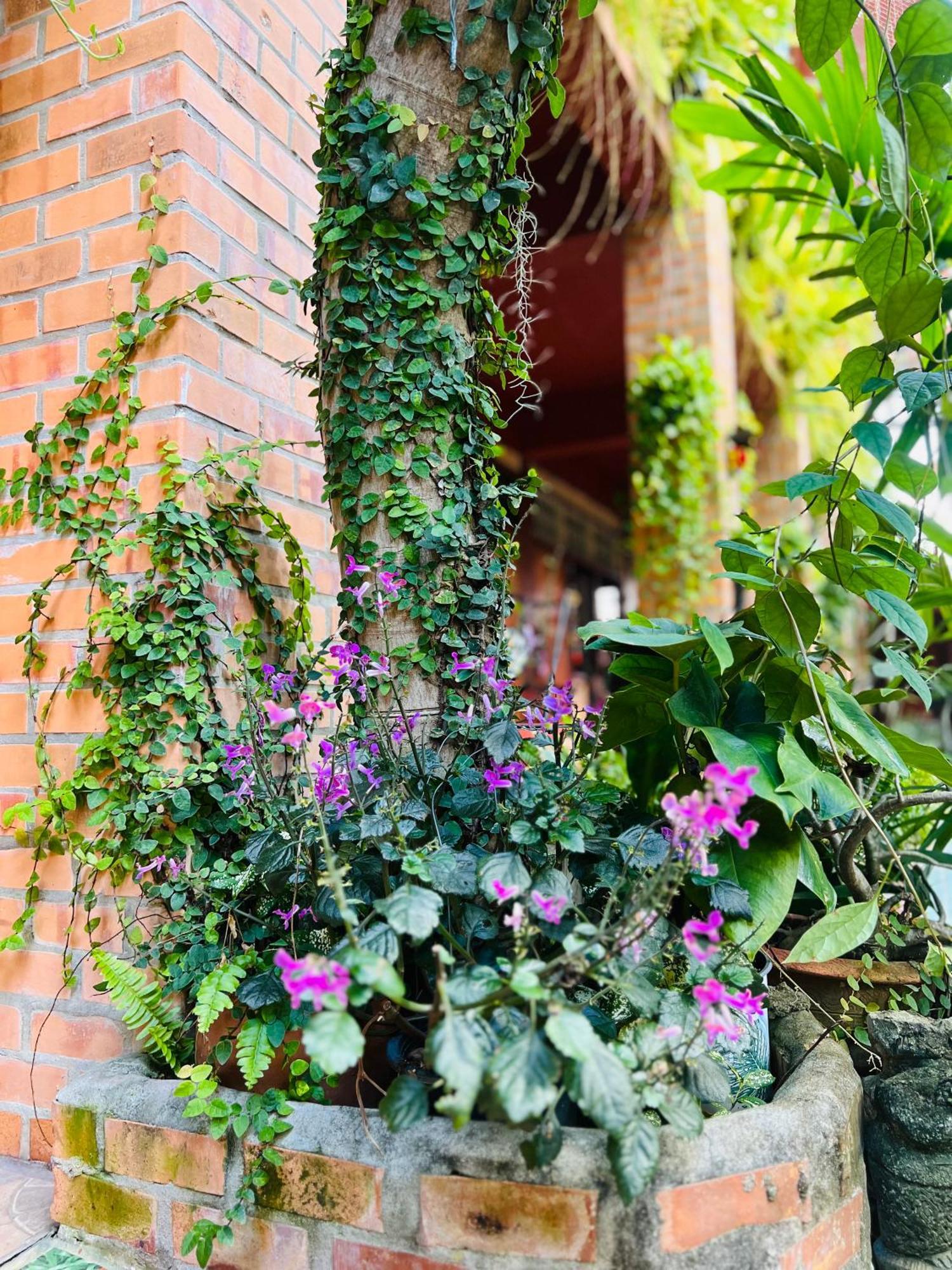 Appartement Boutique House Nipha à Chiang Mai Extérieur photo